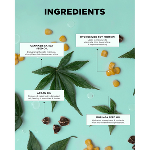 GLOSS.ME DREAM MANE - HYDRA & SHINE KIT