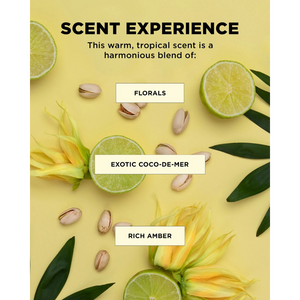 BOUNCE.ME Dream Mane Curl Kit