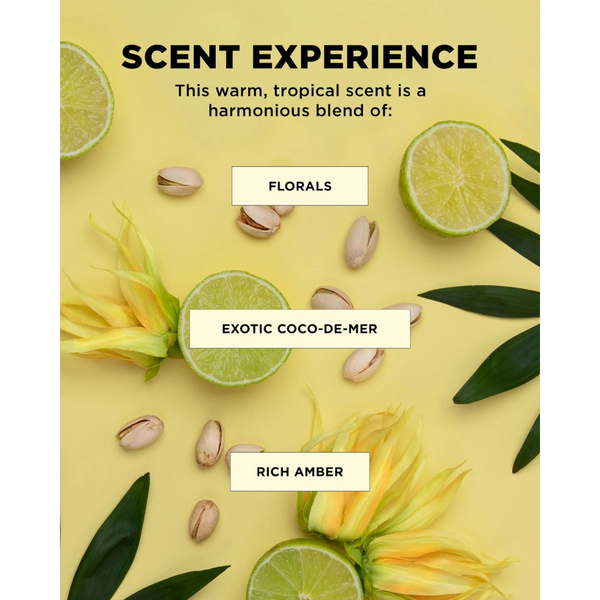 BOUNCE.ME Dream Mane Curl Kit