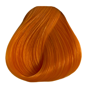 Apricot 100ml