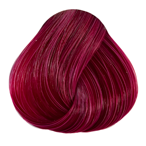 Tulip 100ml